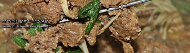 청량함을 담고 있는 봉화 맛집 25곳