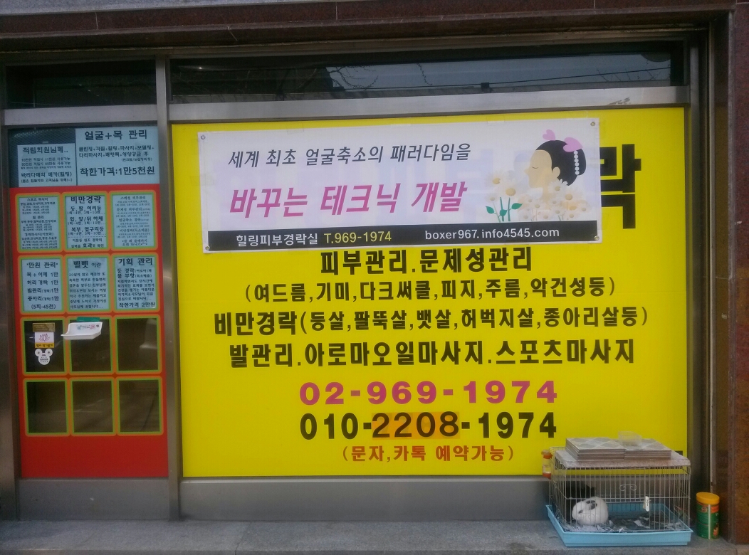 메인 이미지