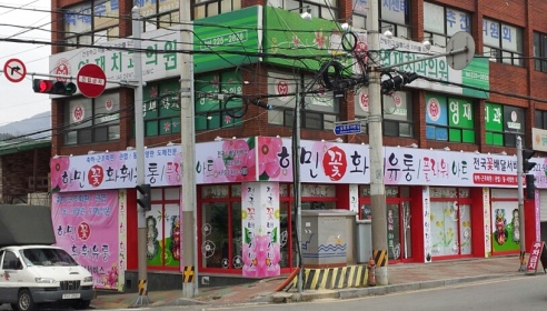 하민화훼유통 매장 이미지