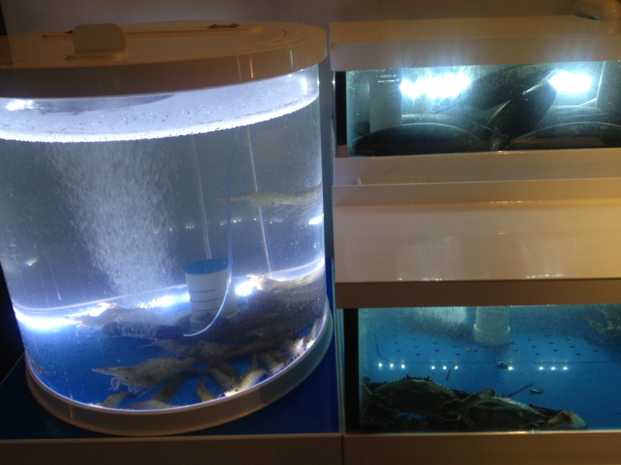 서브1