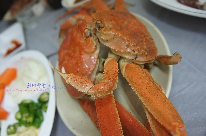 초곡어촌계 직판장 옥수2호 - 강원, 삼척 장호항 | 맛집검색 식신