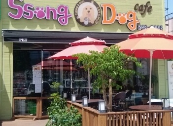 쏭앤독