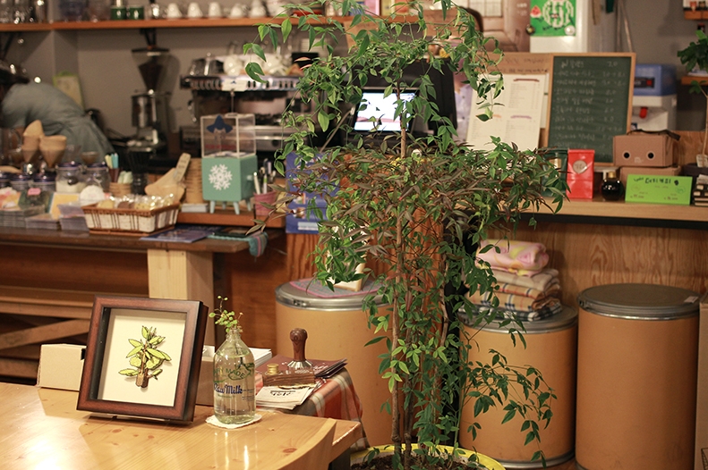 서브1