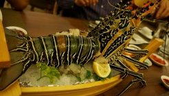 오이스터 베이 (Oyster Bay) 매장 이미지