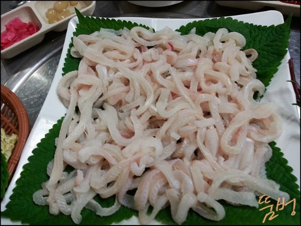 마시리 이미지