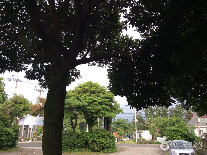 place_img