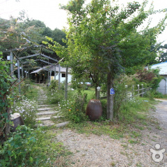 place_img