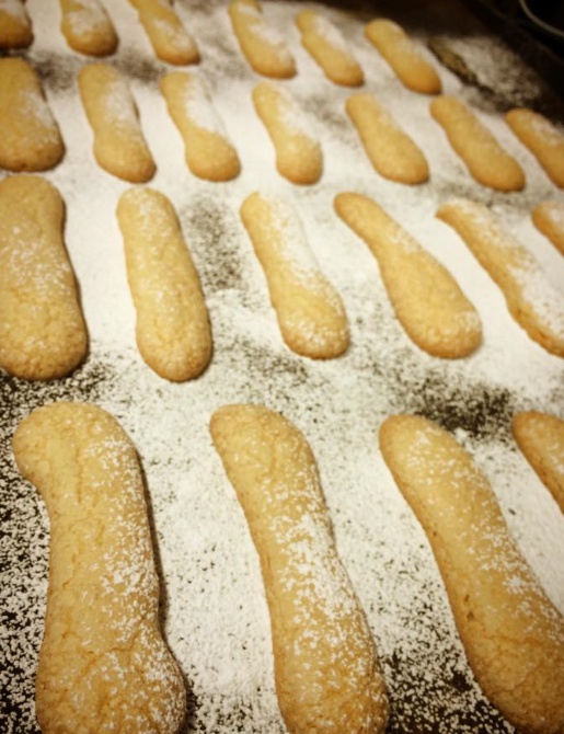 출처:아오이토리 공식 홈페이지