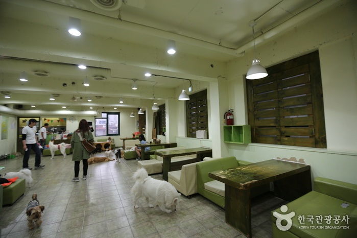 서브1