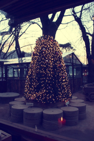 place_img