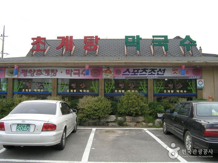 [맛있는 녀석들] 낙지볶음&초계탕 | 식신 낙지볶음&초계탕  | 식신