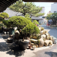 place_img