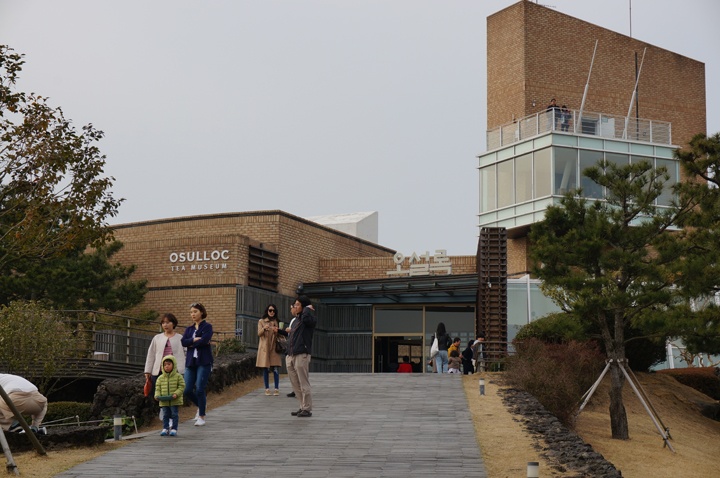 식신 유저 제공