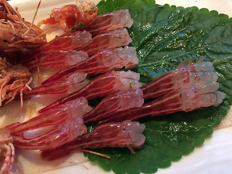 서브2