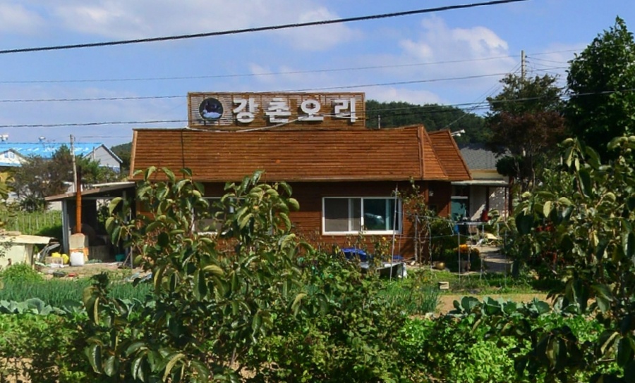 항구회타운 - 강원, 삼척 장호항 | 맛집검색 식신