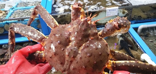 용신호 수산