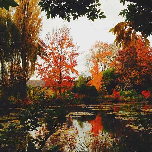 place_img