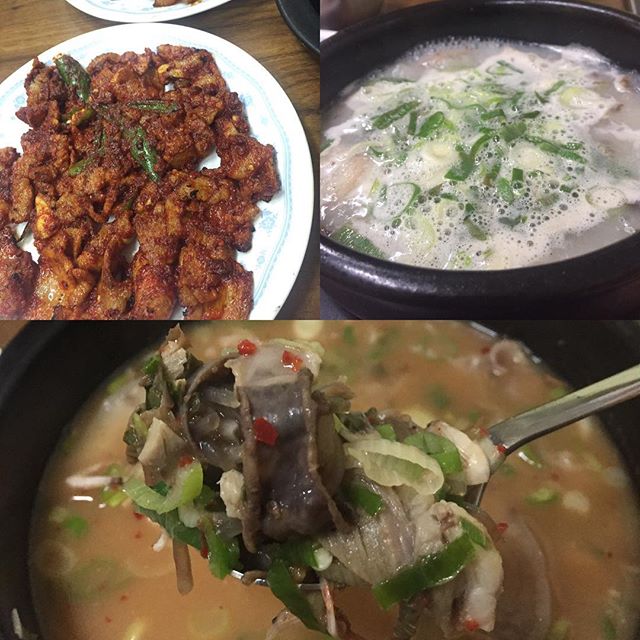 출처 : 용궁식당 인스타그램 검색 결과