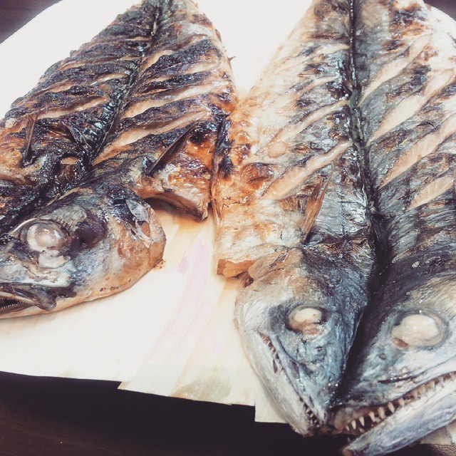고양이네생선구이|맛집, 씨푸드맛집