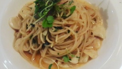 닥터플라토 매장 이미지