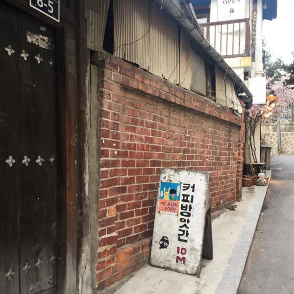 출처:  ziyoun_님의 인스타그램