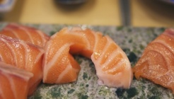 호야초밥참치 매장 이미지