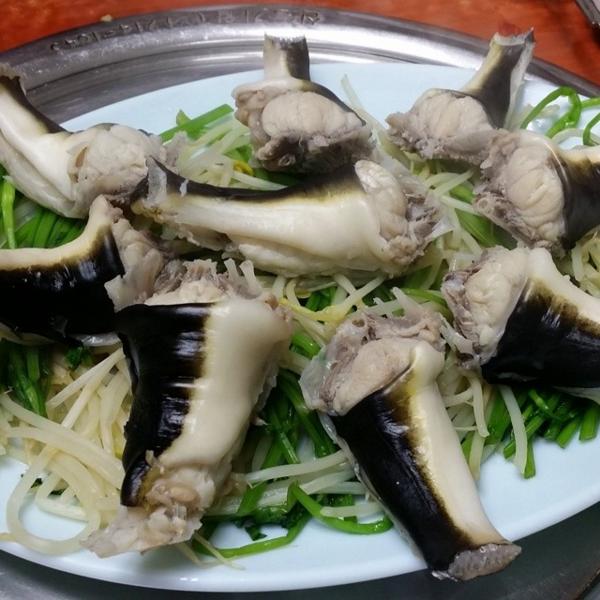 출처: tocuru님의 인스타그램.