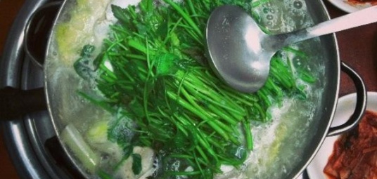 철철복집