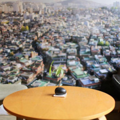 place_img