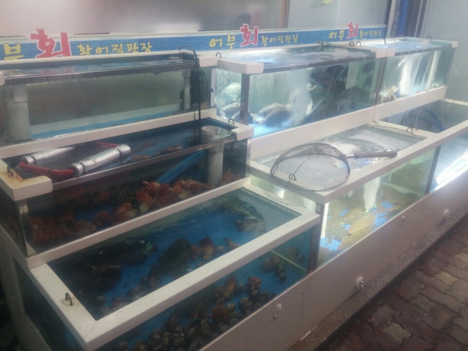 place_img