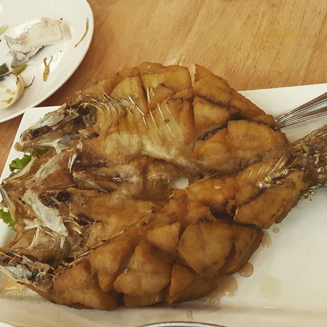 서브2