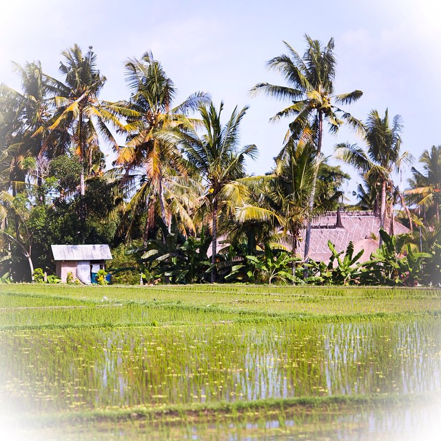 place_img
