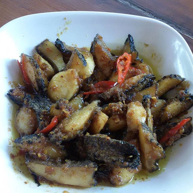 서브1