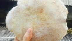 산동만두공갈빵 매장 이미지