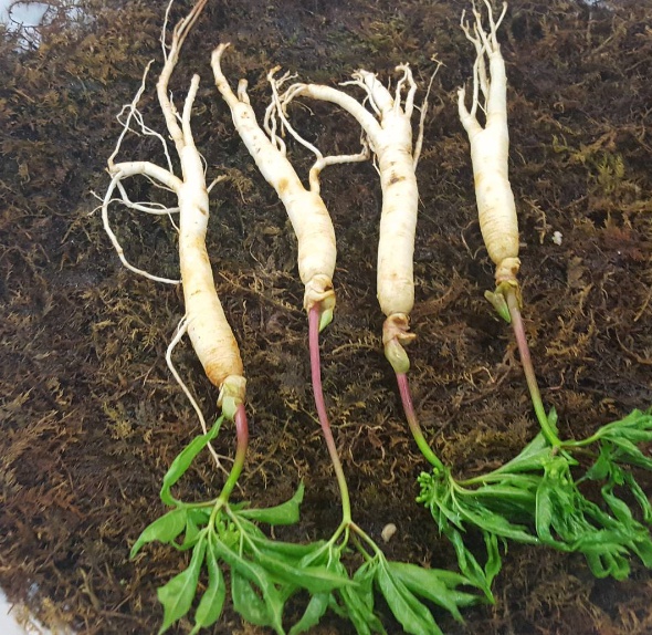 출처 : 매장명 인스타그램 검색결과