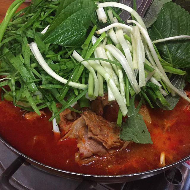  출처 : 시굴집 인스타그램 검색 결과