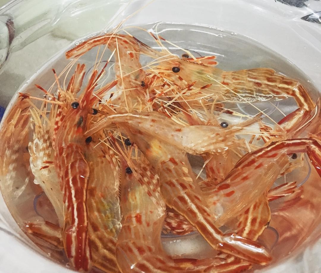 출처 : 아지트 인스타그램 검색결과