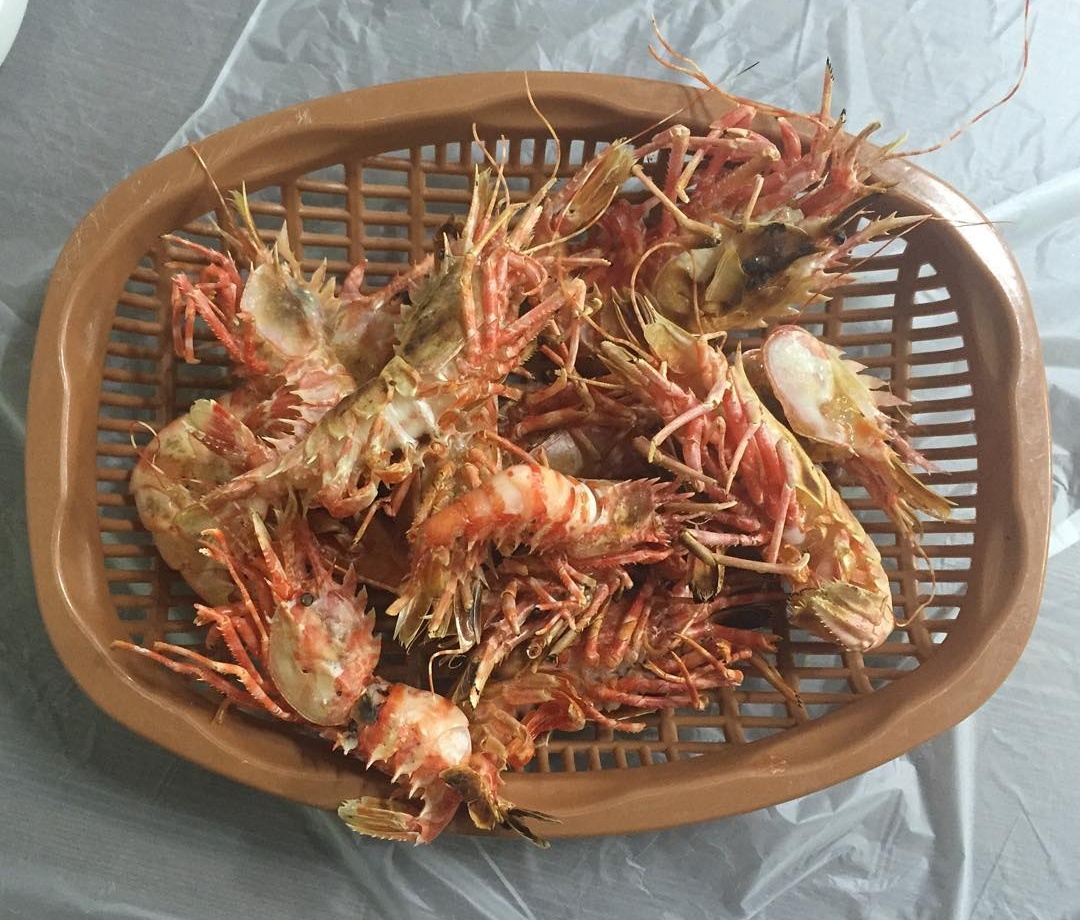 출처 : 아지트 인스타그램 검색결과