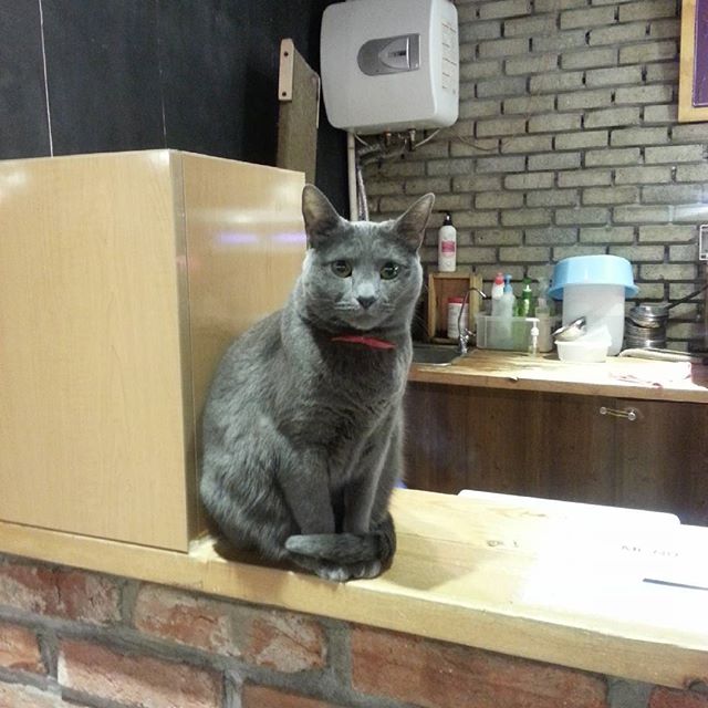 서브1
