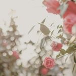 place_img