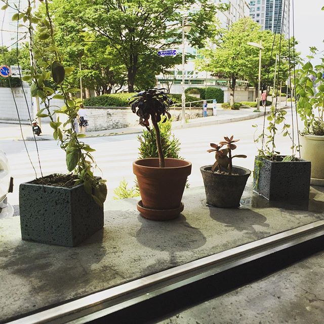 서브1