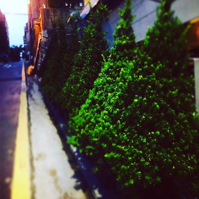 place_img