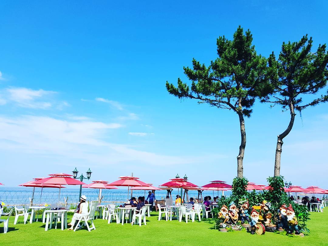 출처 : 바다정원 인스타그램 검색 결과