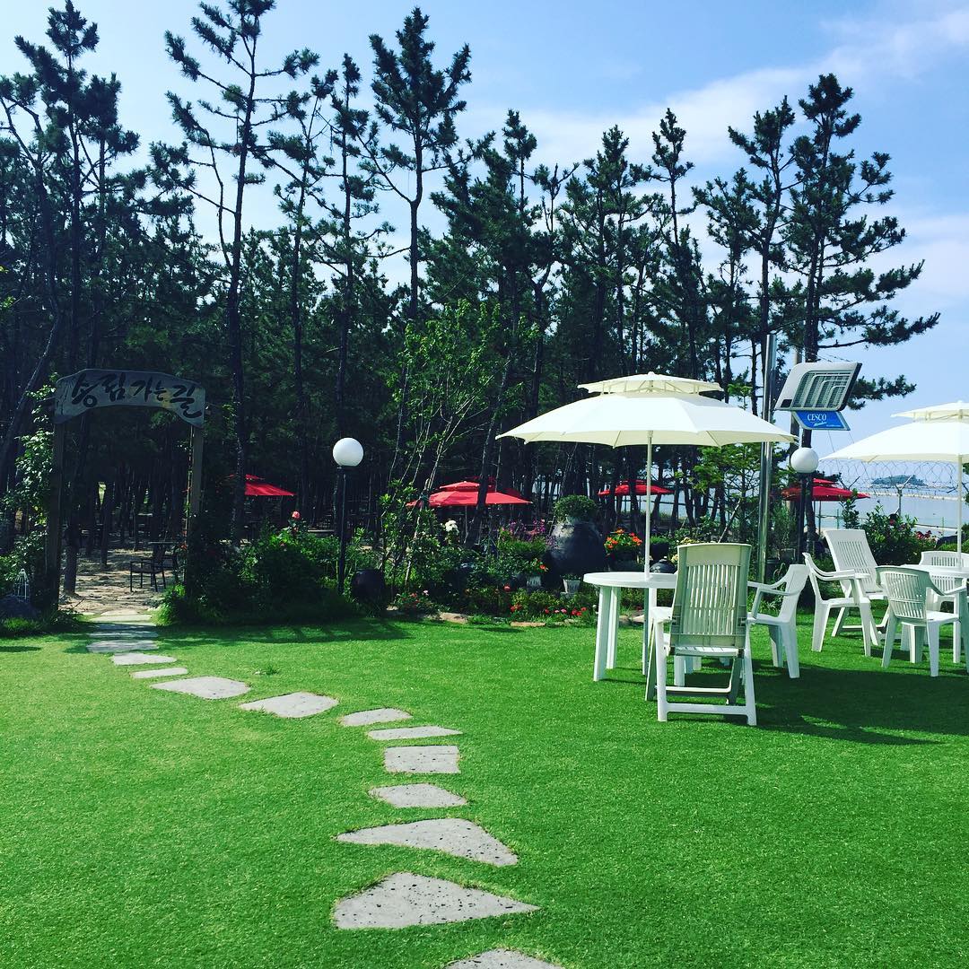 출처 : 바다정원 인스타그램 검색결과