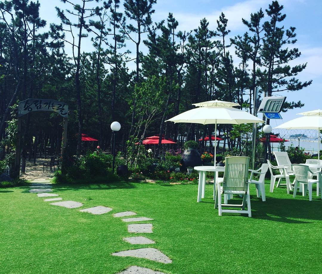 출처 : 바다정원 인스타그램 검색결과