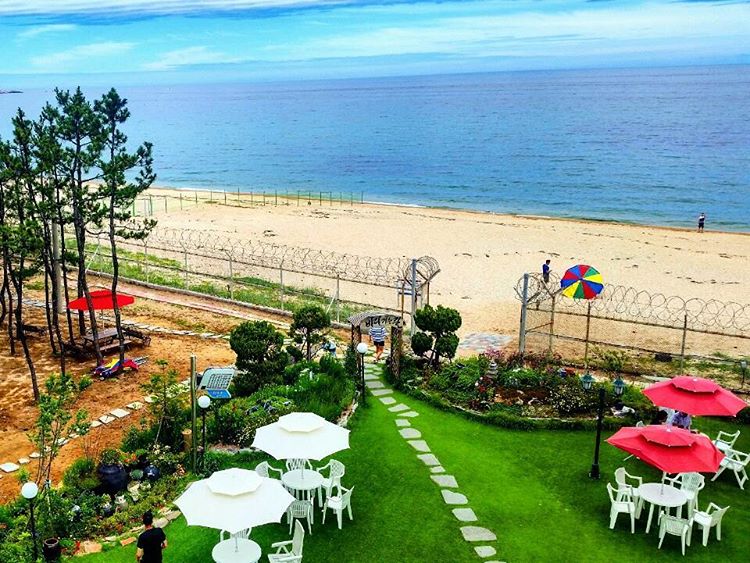 출처 : 바다정원 인스타그램 검색결과