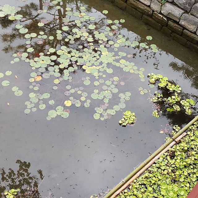 place_img