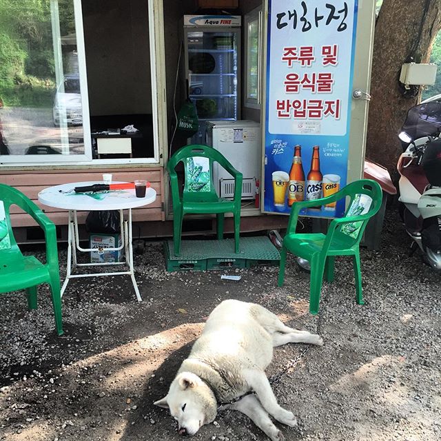 place_img