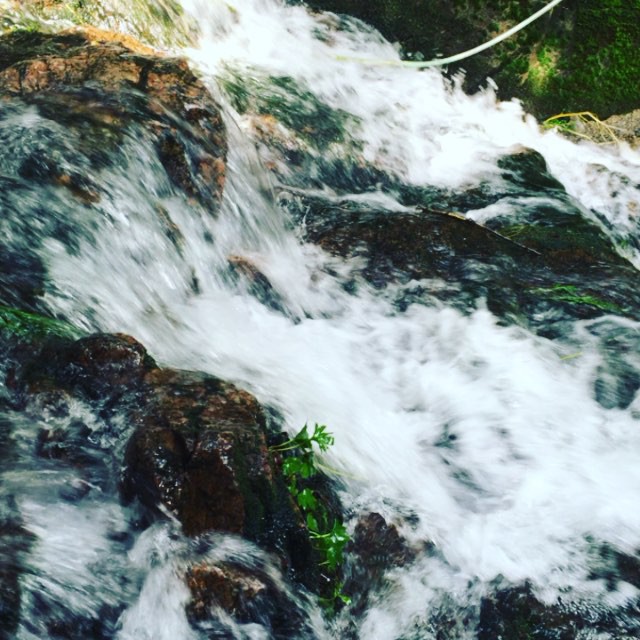 place_img