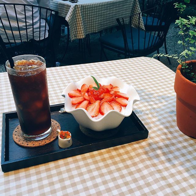   출처 : 바람이불어오는곳 인스타그램 검색 결과